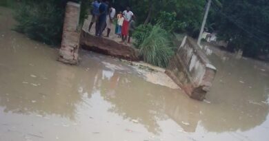 Raghopur Bridge Collapse 234